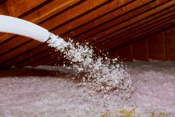 Best Eco-Friendly Insulation in Wabasso, FL