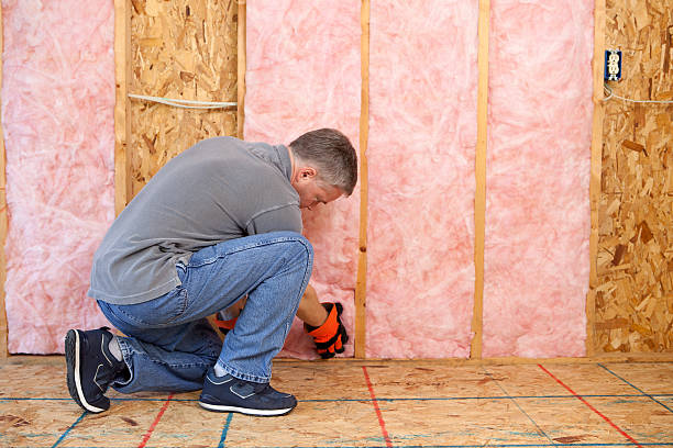 Best Energy Efficiency Insulation in Wabasso, FL